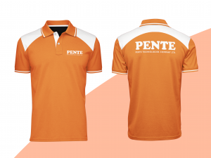 Áo đồng phục polo Pente Technologies Company DNP63